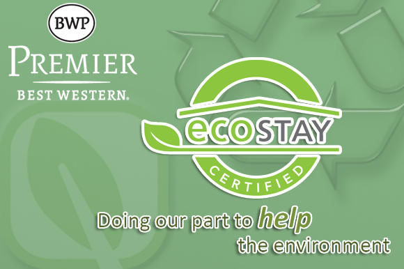Introducing EcoStay